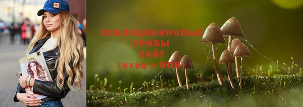 МДПВ Балашиха