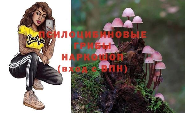 МДПВ Балашиха
