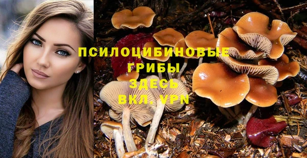 прущая мука Нязепетровск