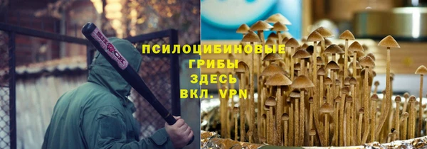 альфа пвп Няндома