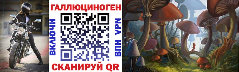 Галлюциногенные грибы мицелий как найти наркотики Великий Устюг
