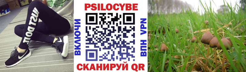 Галлюциногенные грибы Psilocybe Великий Устюг
